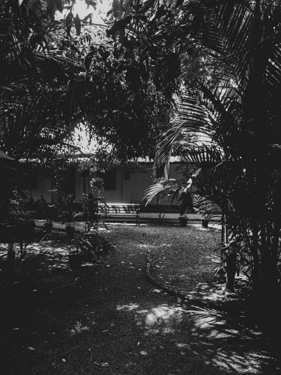 Palm Grove Service Villa Kochi Exterior foto